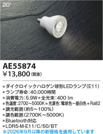 AE55874