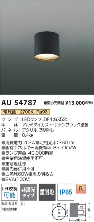 AU54787