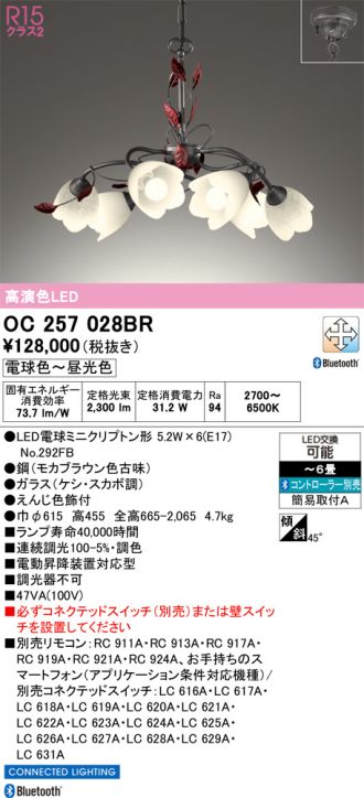 OC257028BR