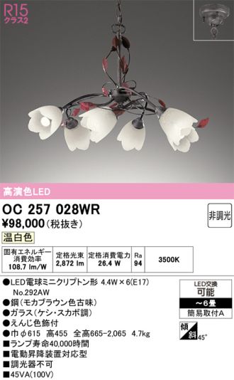 OC257028WR