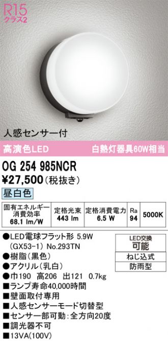 OG254985NCR