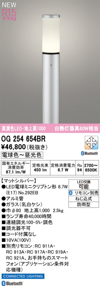 OG254654BR