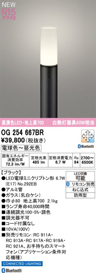OG254667BR