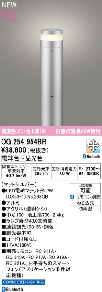 OG254954BR