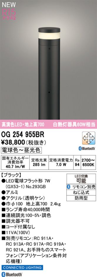 OG254955BR