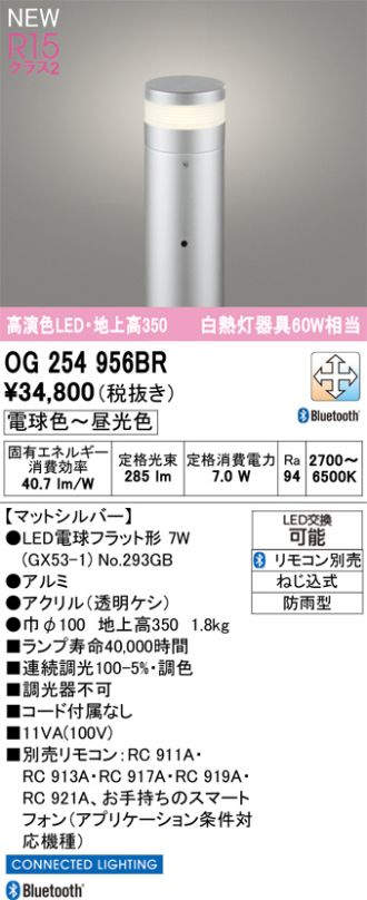 OG254956BR