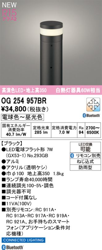 OG254957BR