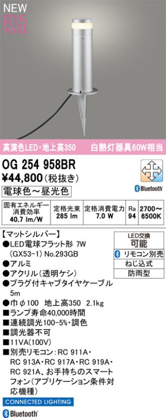 OG254958BR