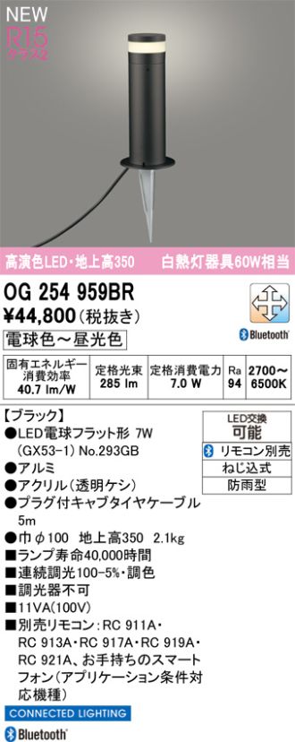 OG254959BR
