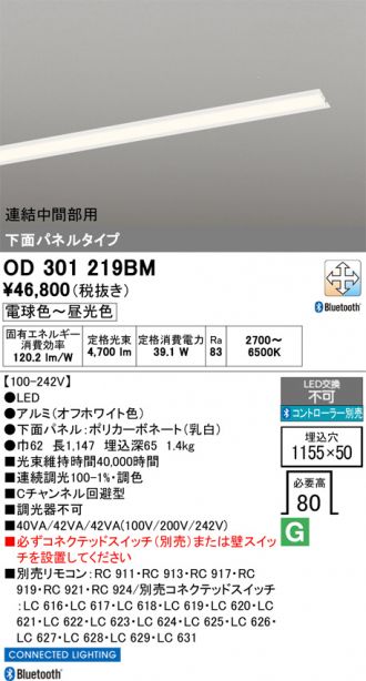 OD301219BM