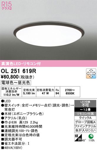 OL251619R