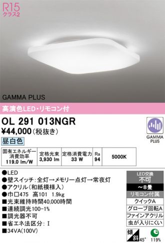 OL291013NGR