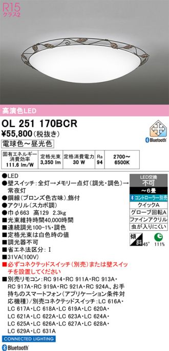 OL251170BCR