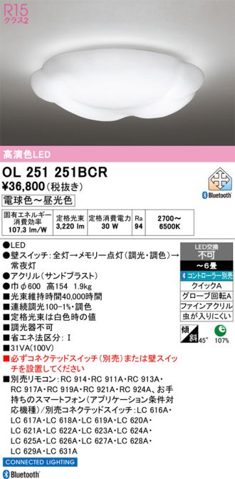 OL251251BCR