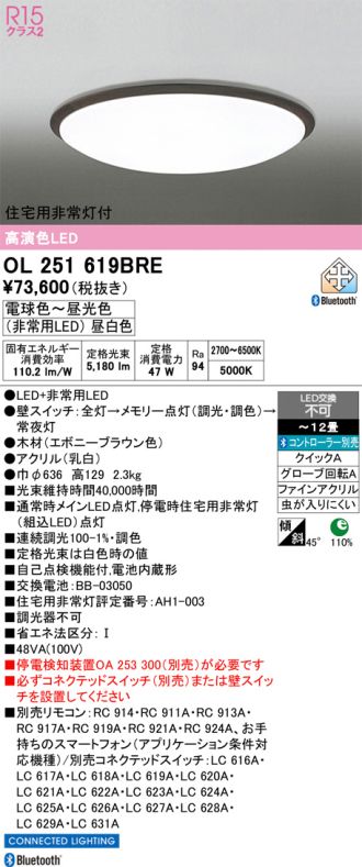 OL251619BRE