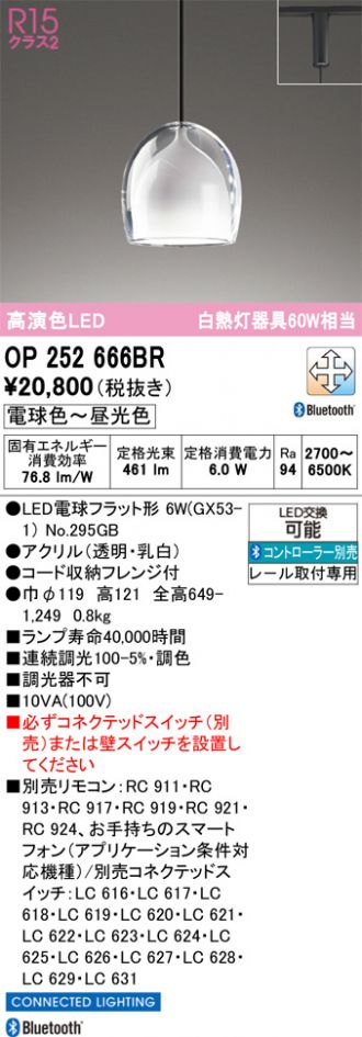 OP252666BR