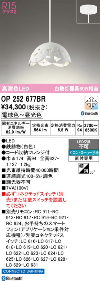 OP252677BR