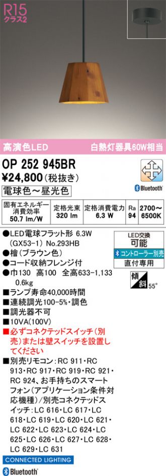 OP252945BR