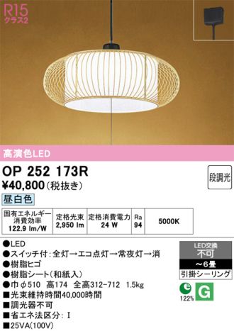 OP252173R