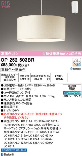 OP252603BR