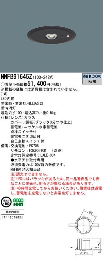 NNFB91645Z