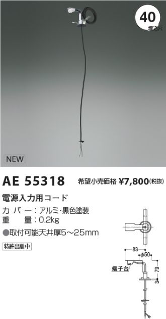 AE55318