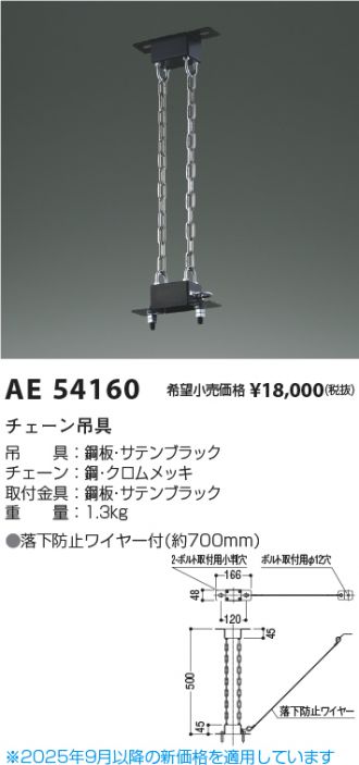 AE54160