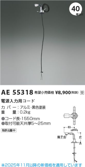 AE55318