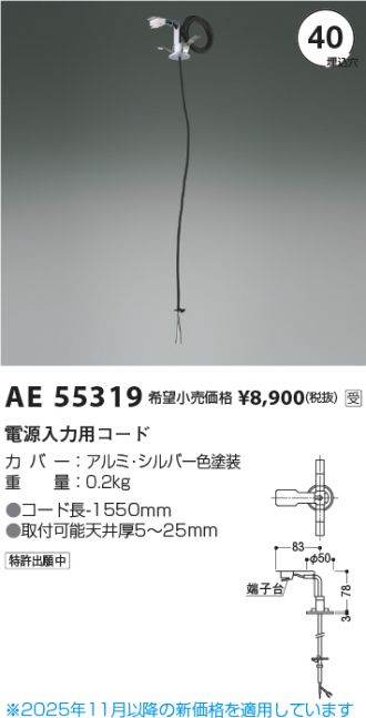 AE55319