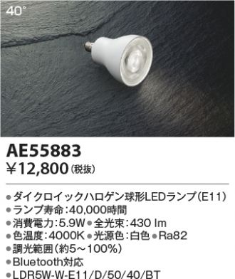 AE55883