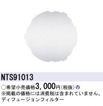 NTS91013